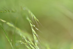 静か