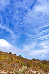 天高く