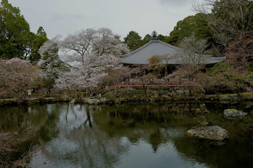 醍醐寺
