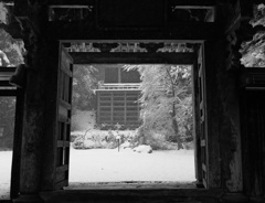 雪の清水寺