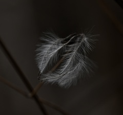 こんなものです。