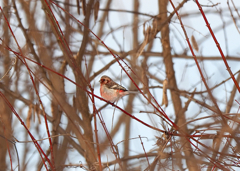 見つけた、久しぶり！