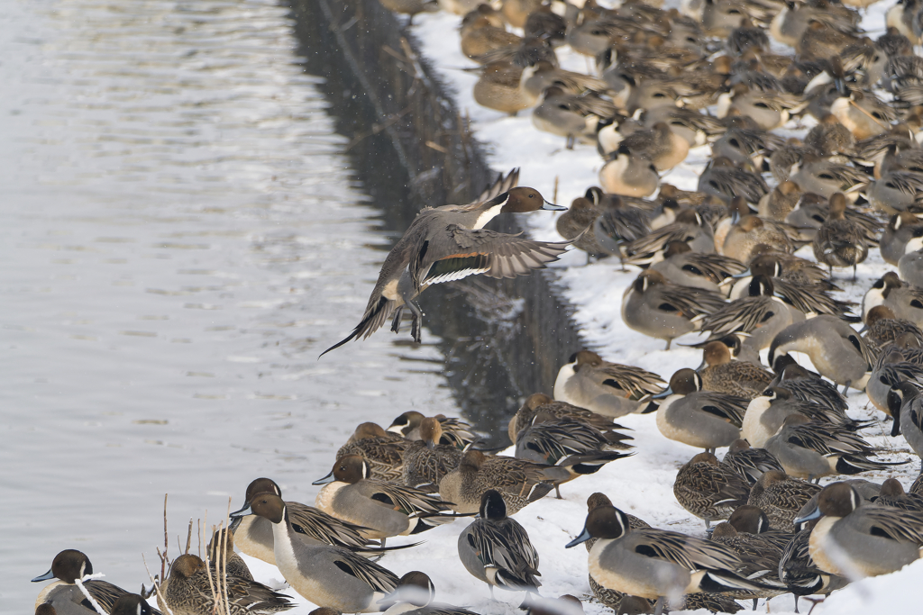 下りる場所が無い...