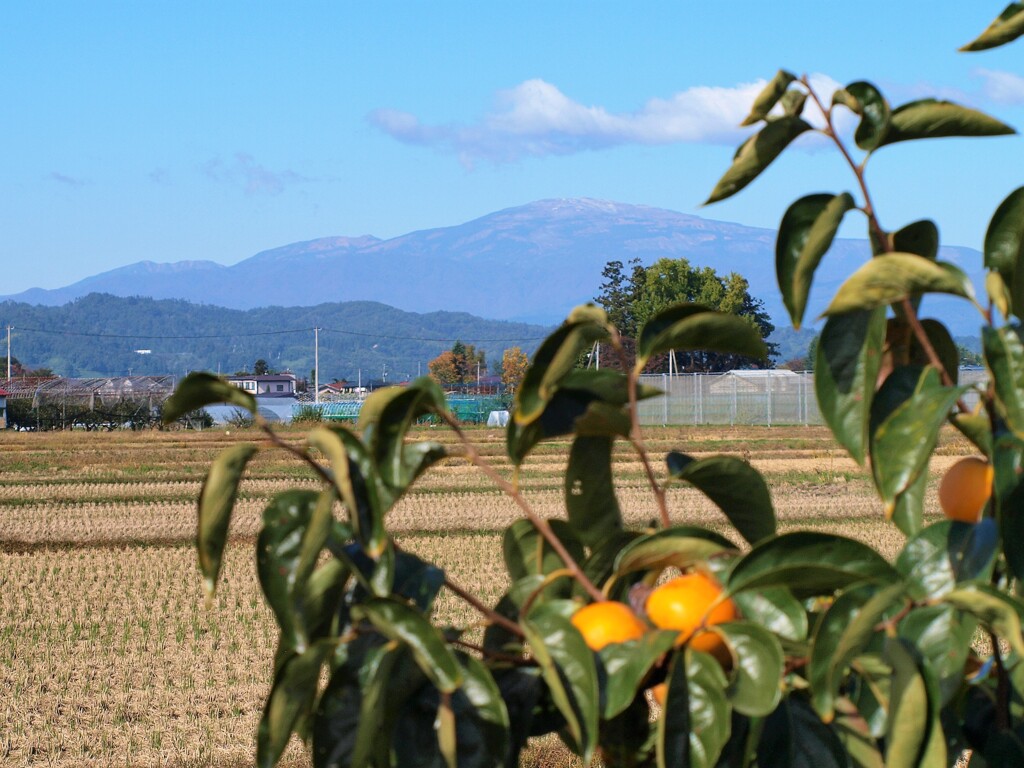 晩秋の月山