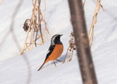 ちょっと冷たいけど