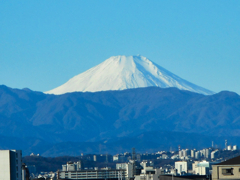 クリスマスの富士山