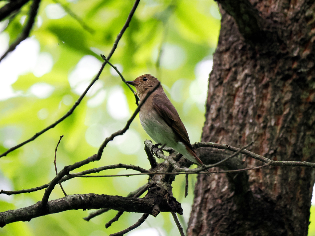 彼氏を連れてきて～