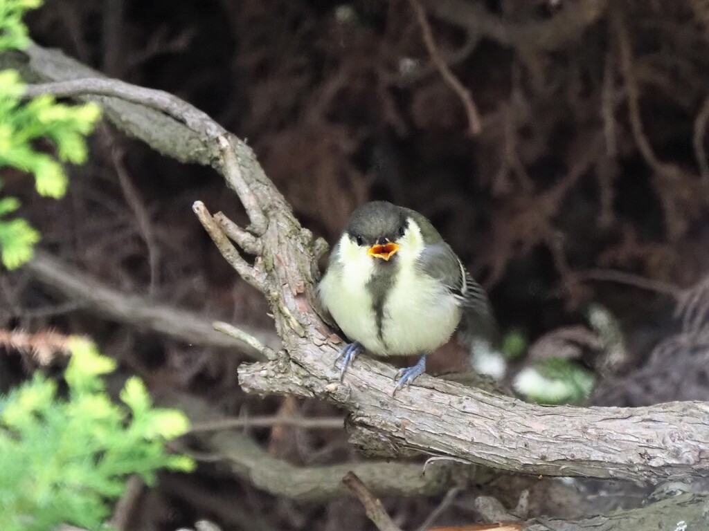 お腹すいた！