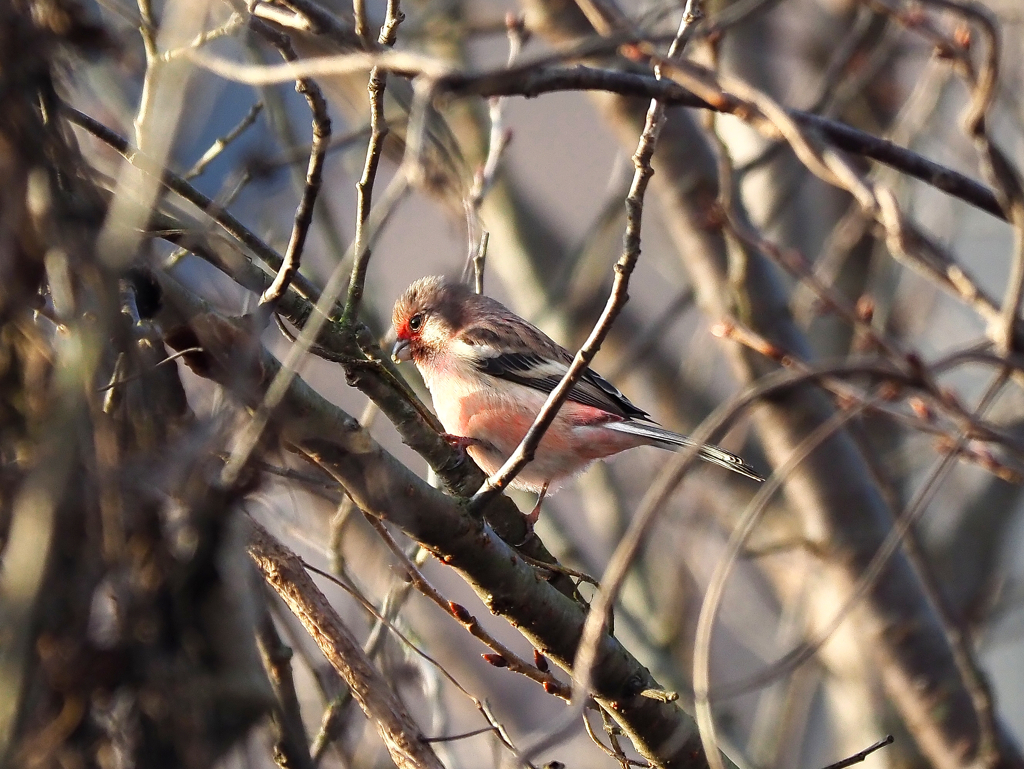 少し酔いもさめた！