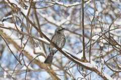 性格悪いけど...