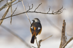 やはり背中だね～