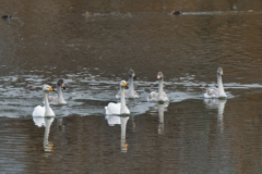 家族さんお帰り