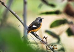 やっと来ました(^O^)／