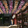 祈願　