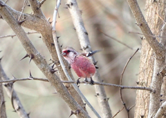 もう行かなくちゃ！