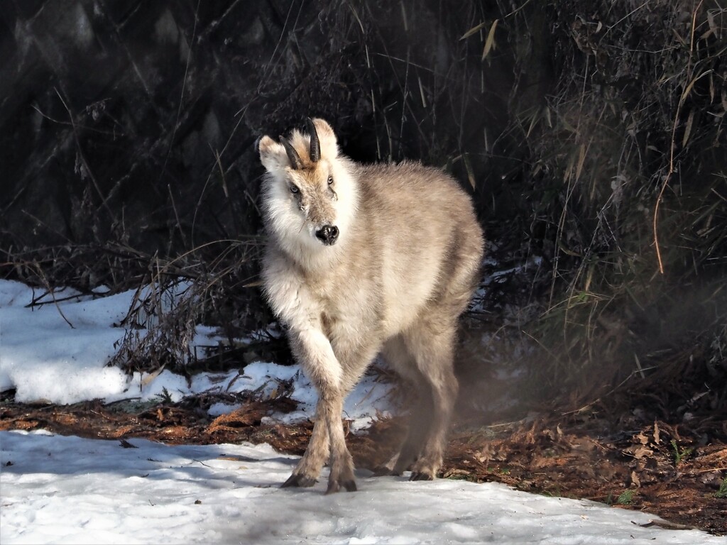 鳥撮りの合間に