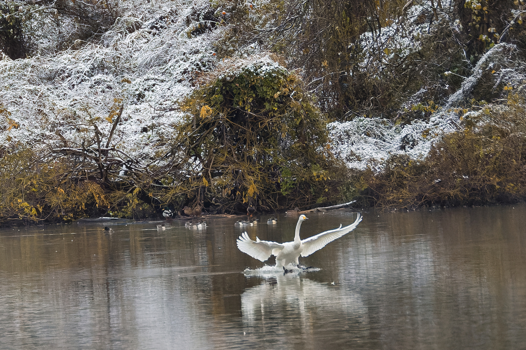 やっと来ました!(^^)!