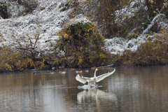 やっと来ました!(^^)!