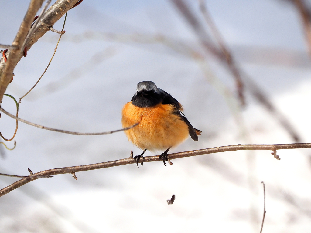 やっちゃった(>_<)