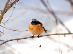 やっちゃった(>_<)