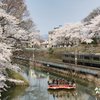 桜と城と電車と小舟2