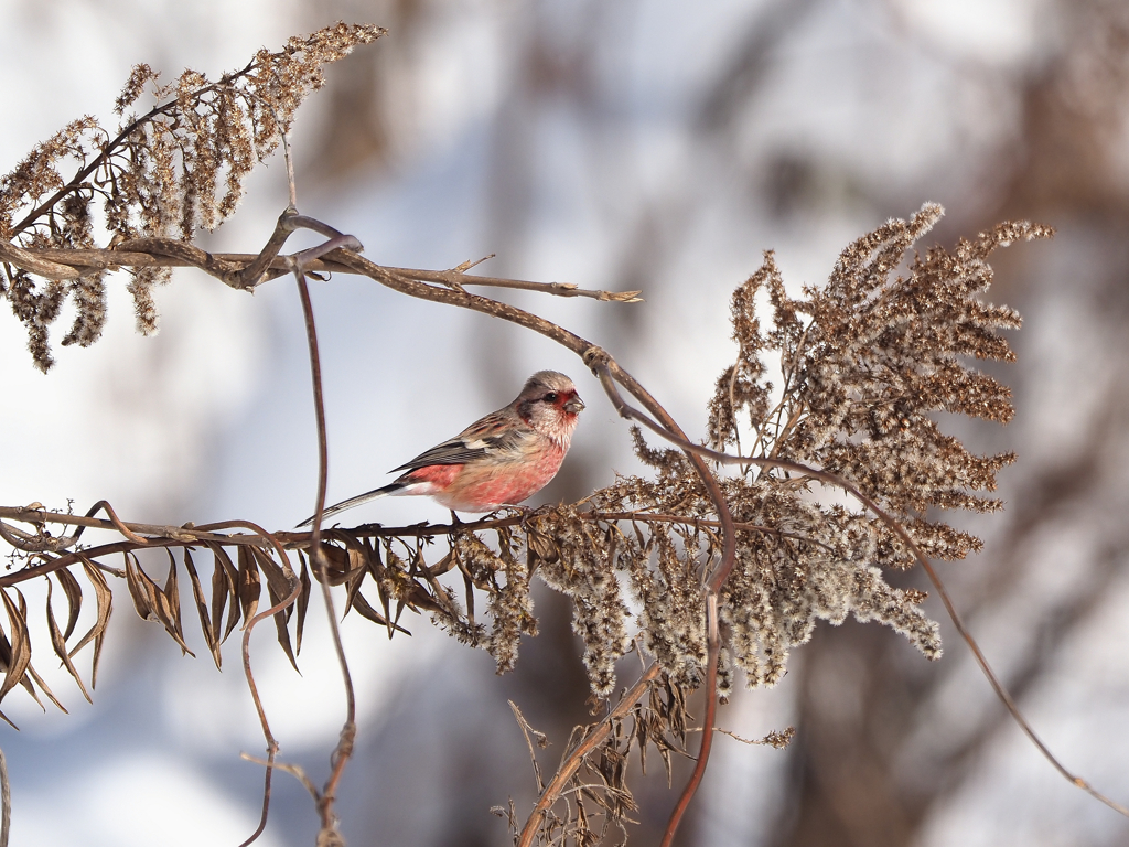 まだまだ飲むぞ