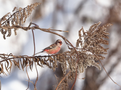 まだまだ飲むぞ