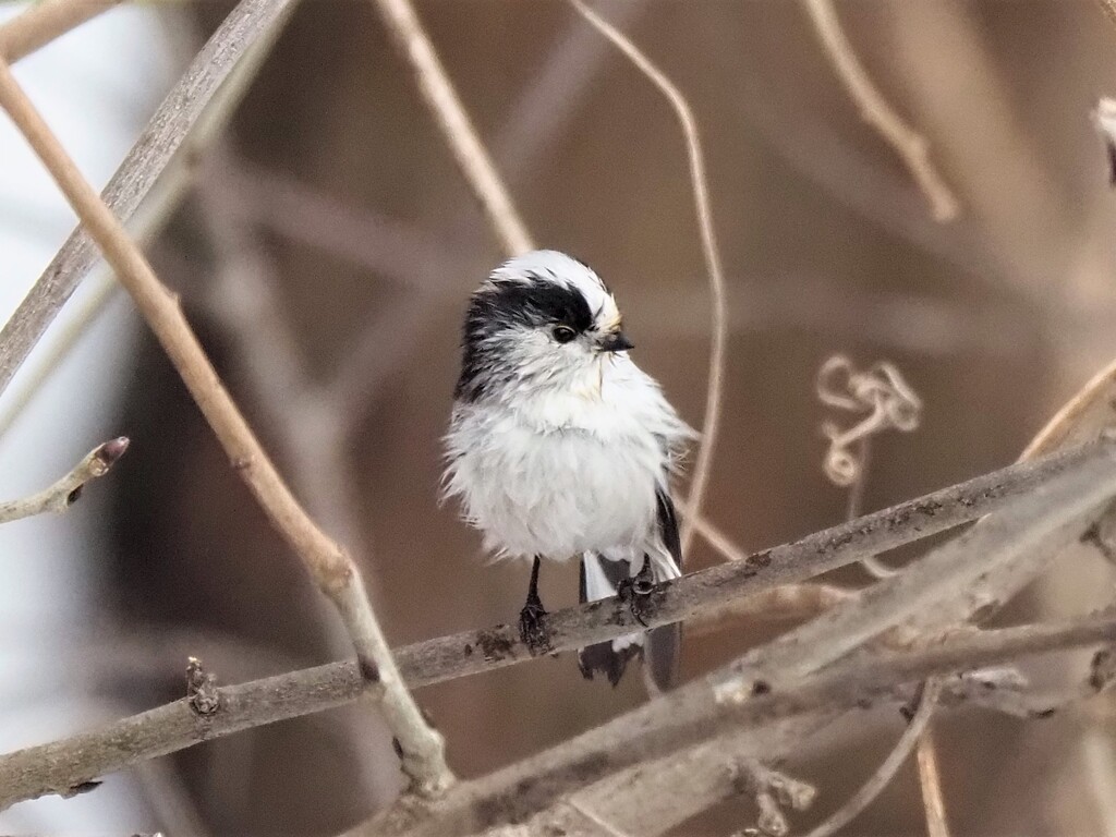 濡れちゃった！