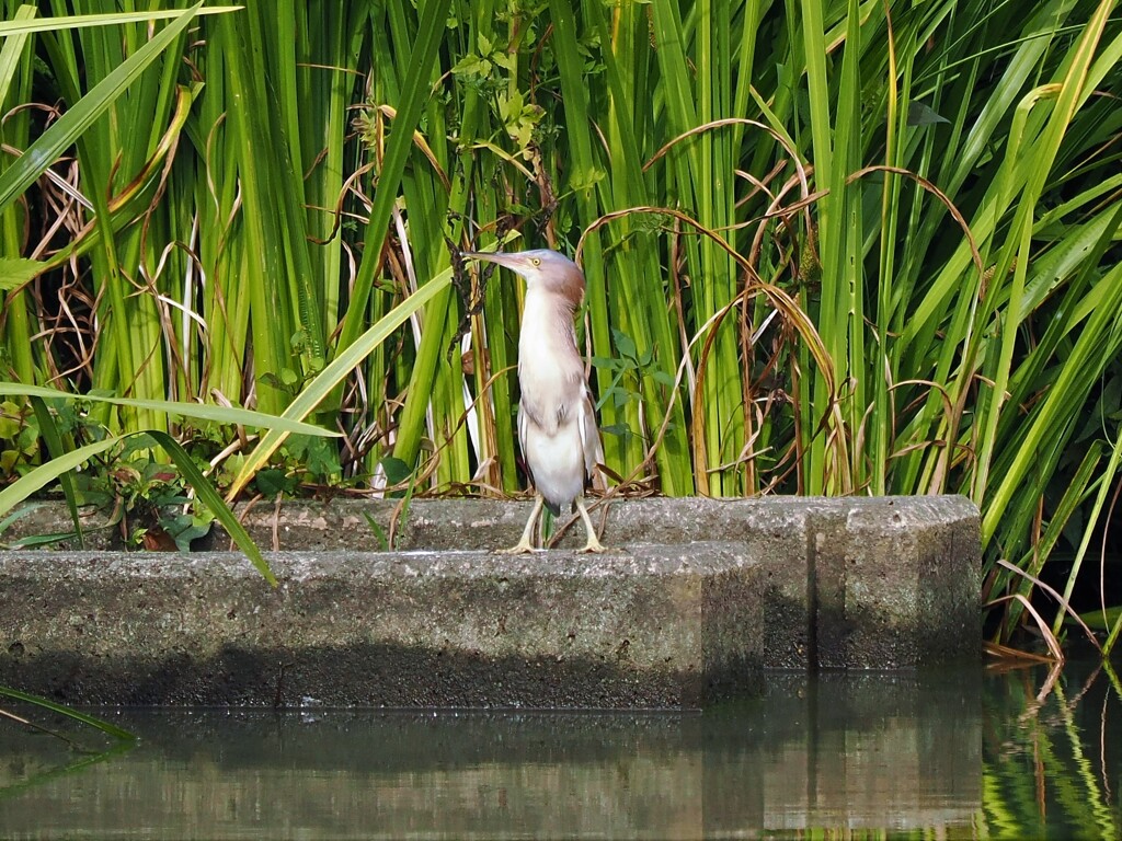 バランス悪い(^^)