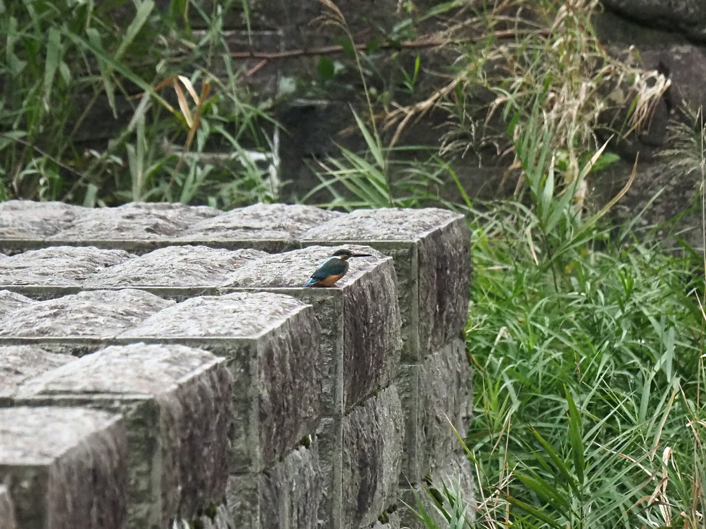 大発見2
