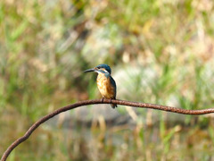 この場所が好き