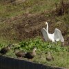 さあ皆さん並んで下さい