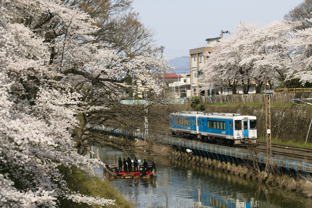 桜と城と電車と小舟
