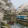 桜と城と電車と小舟
