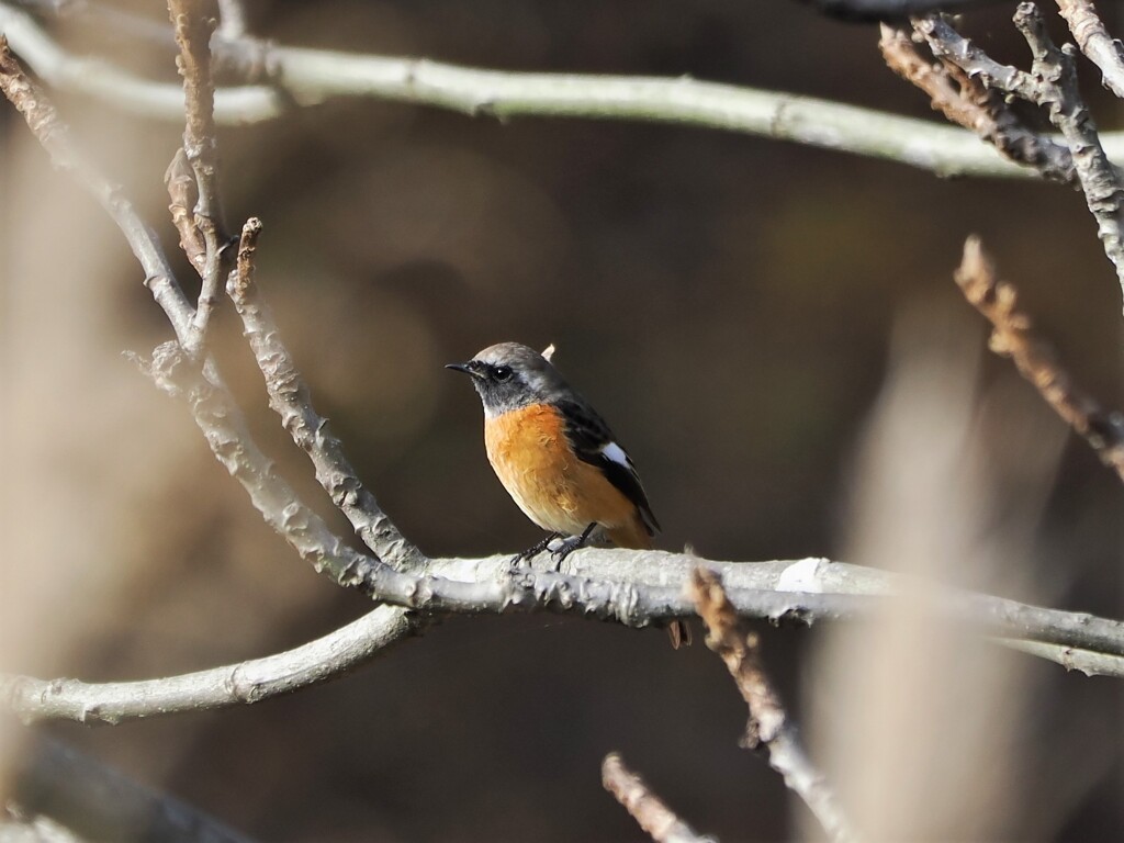 しばらくでした(^^)