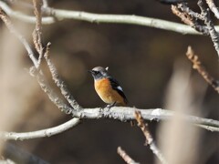 しばらくでした(^^)