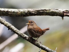 今年も元気に！