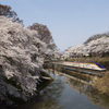桜と城と新幹線