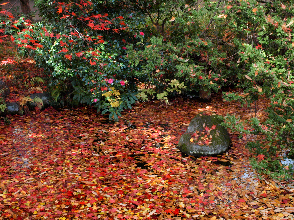 紅葉池