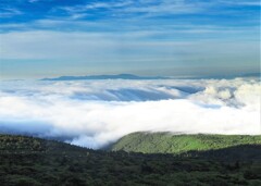 雲海の滝