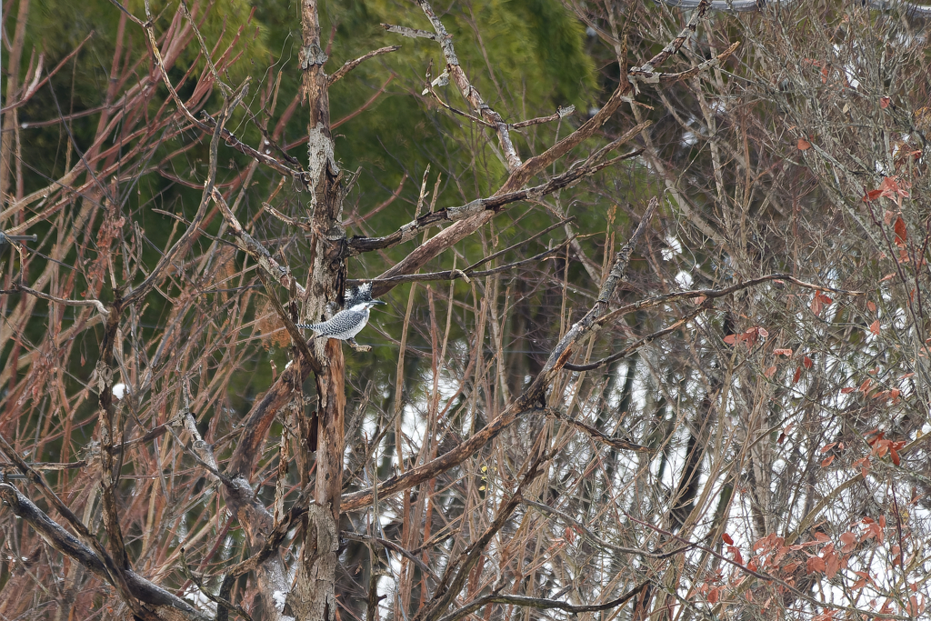 そろそろ交替の時期
