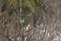 そろそろ交替の時期