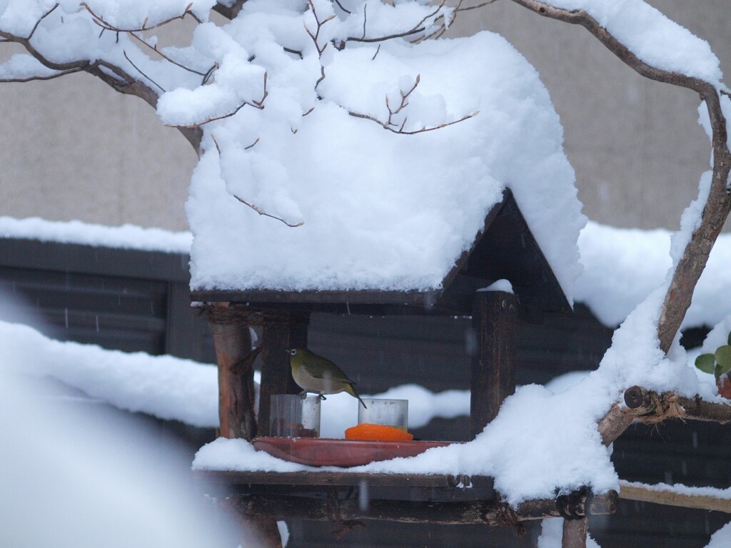 屋根がつぶれそう