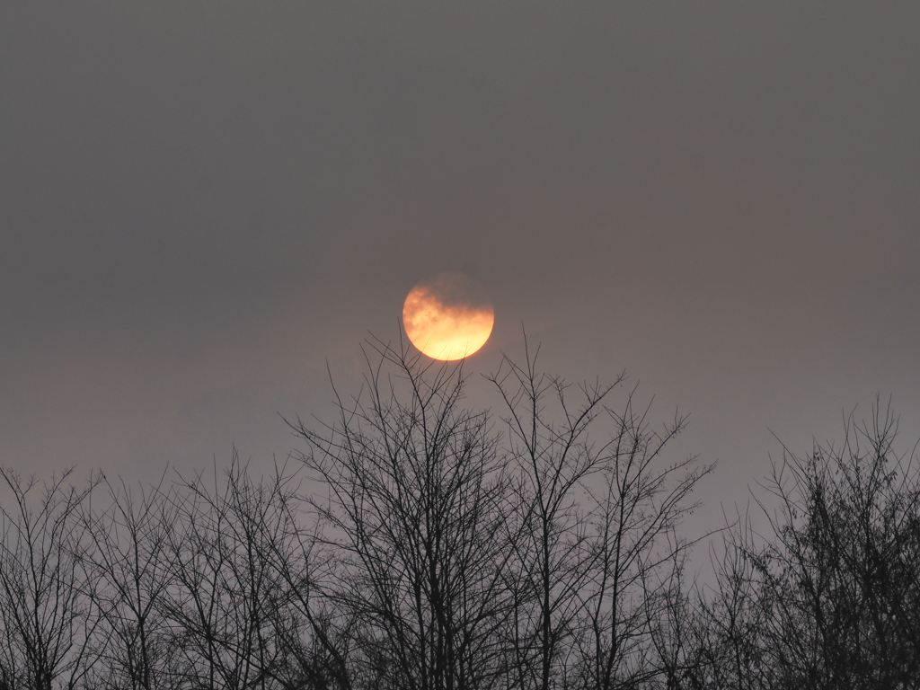 フィールドの朝(太陽です)