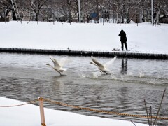 上手く撮れるかな