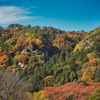 宝珠山立石寺の紅葉