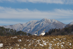 今年もお世話になりました。