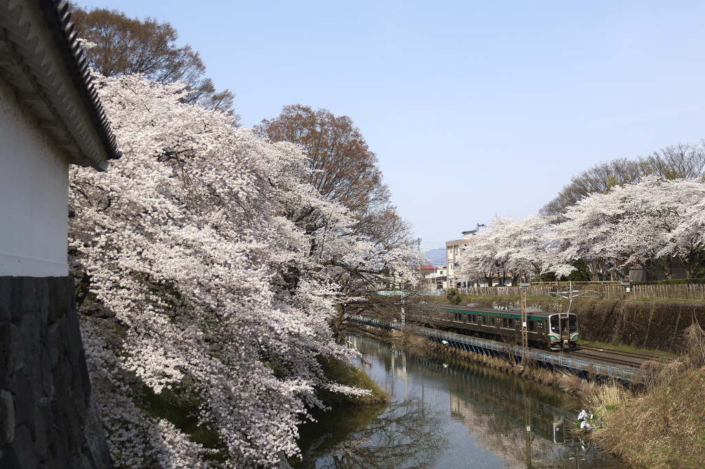 桜と城と電車1