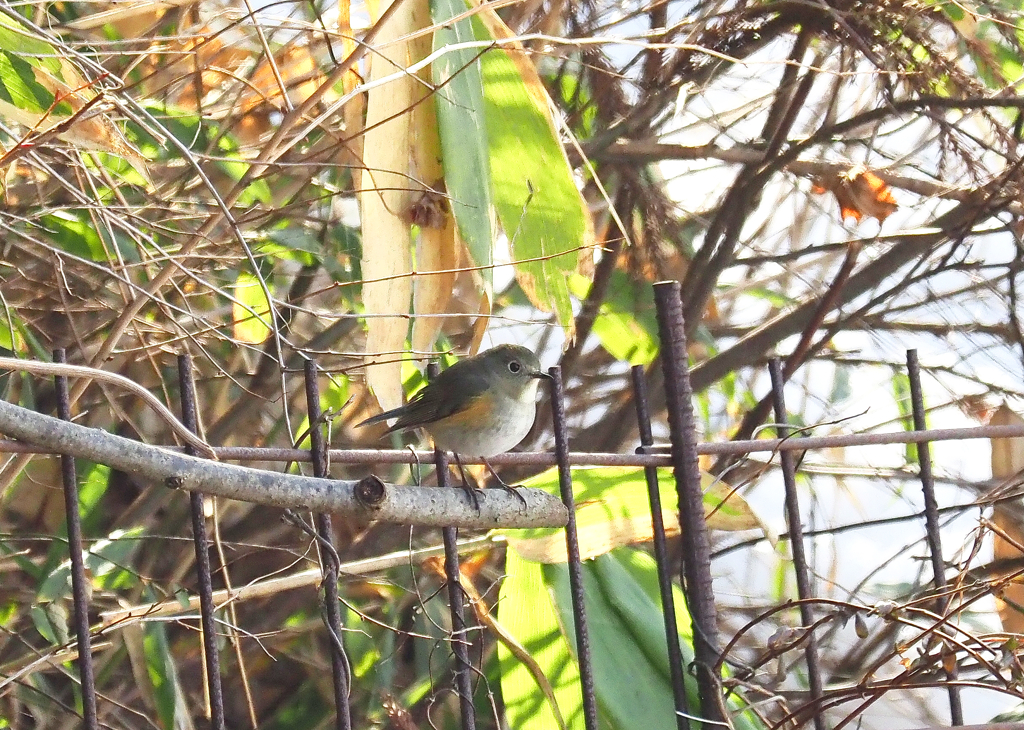 もっと近くに来て～！