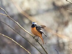 撮ってくれよ！